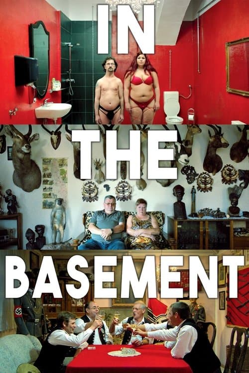 In the Basement (2014) poster