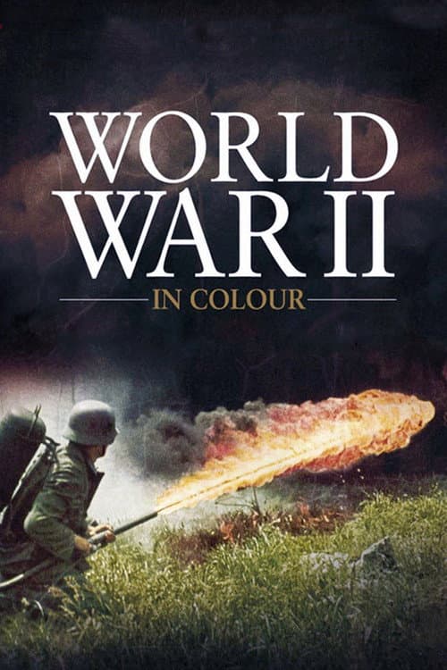 World War II in Colour (2009) poster