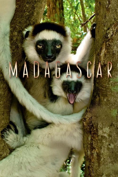 Madagascar (2011) poster