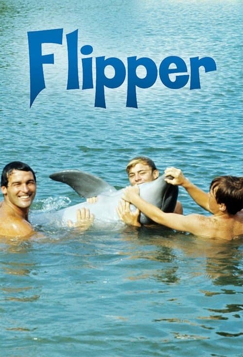 Flipper (1964) poster