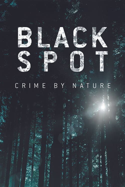 Black Spot (2017) poster