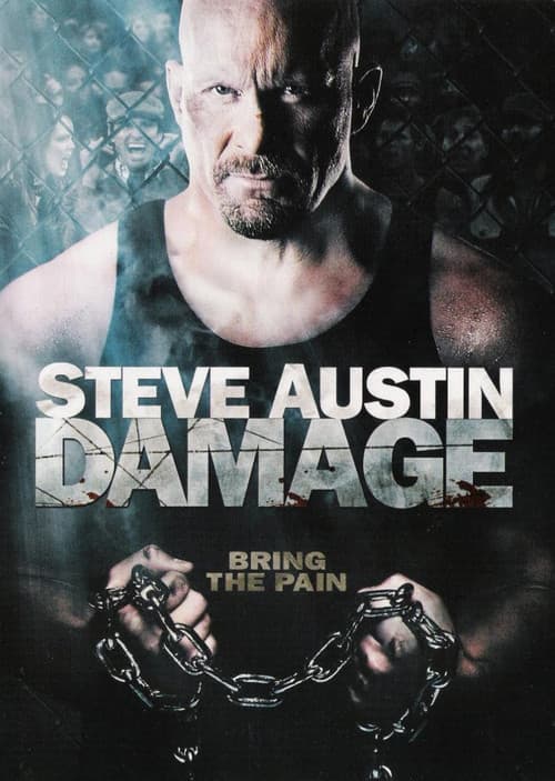 Damage (2009) poster