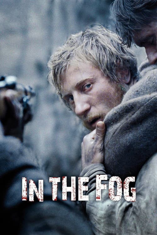 In the Fog (2012) poster