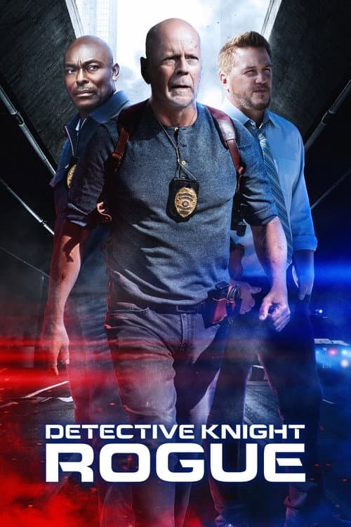 Detective Knight: Rogue (2022) poster