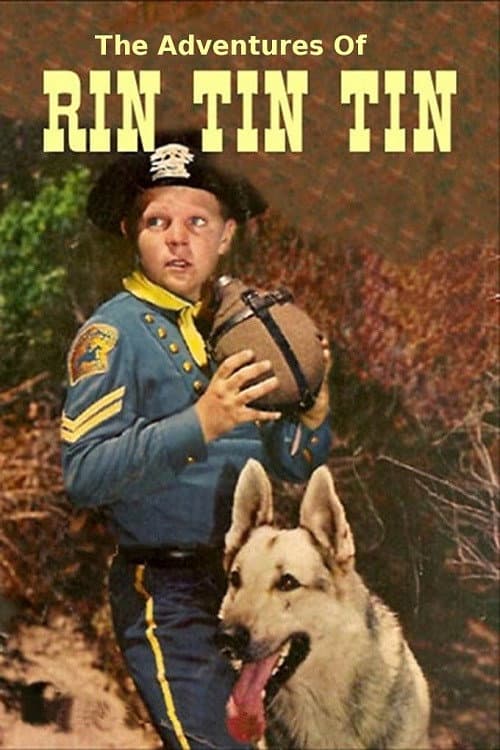 The Adventures of Rin Tin Tin (1954) poster