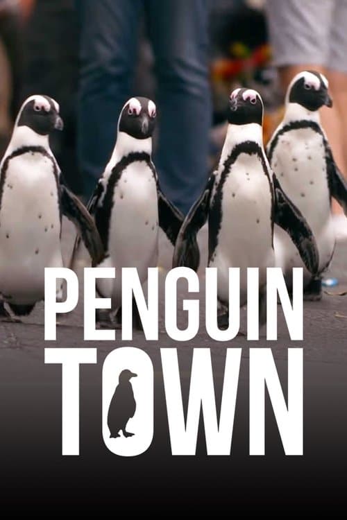 Penguin Town (2021) poster