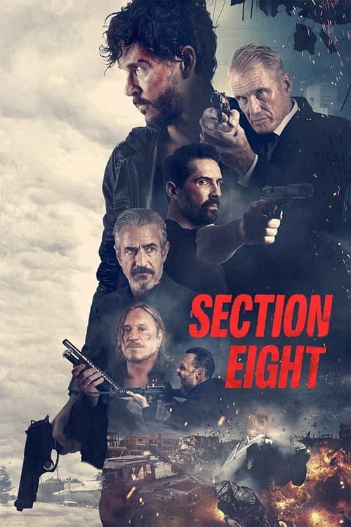 Section 8 (2022) poster