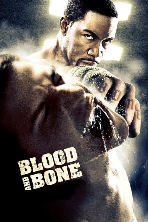Blood and Bone (2009) poster