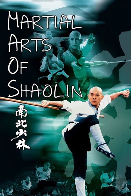Martial Arts of Shaolin (1986) poster