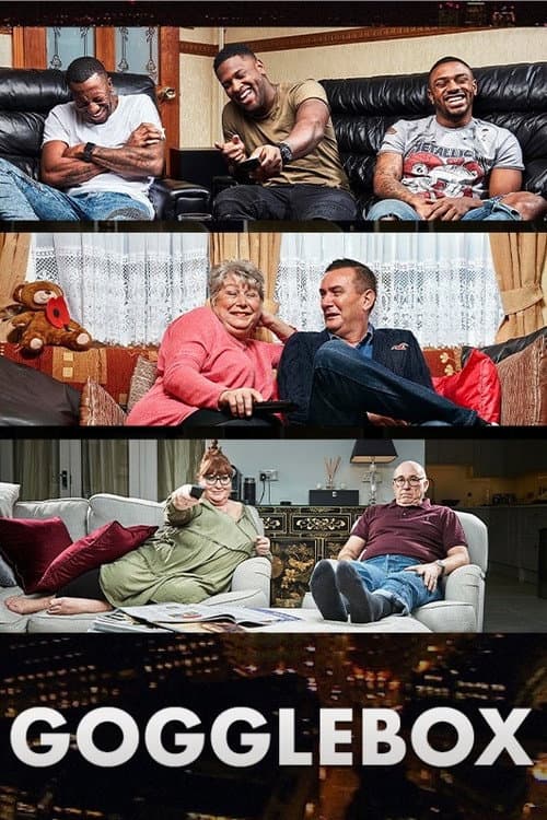 Gogglebox (2013) poster