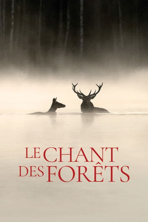 Whispers in the Woods (2025) poster