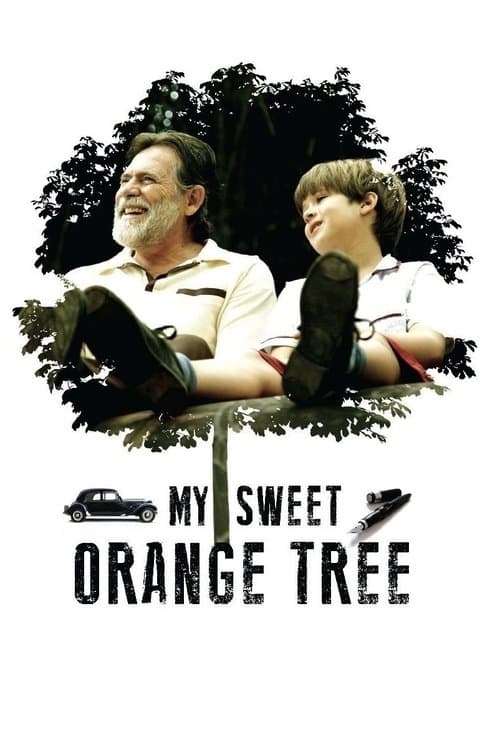 My Sweet Orange Tree (2012) poster