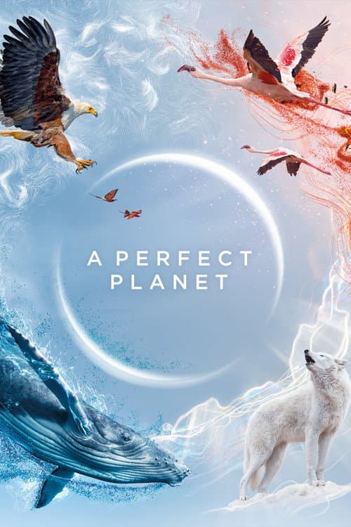 A Perfect Planet (2021) poster