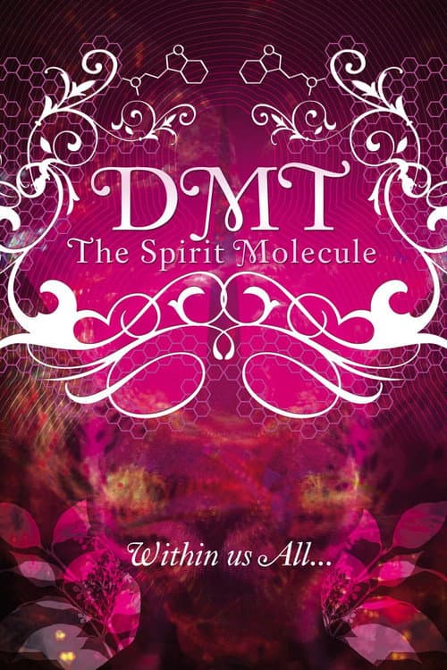 DMT: The Spirit Molecule (2010) poster