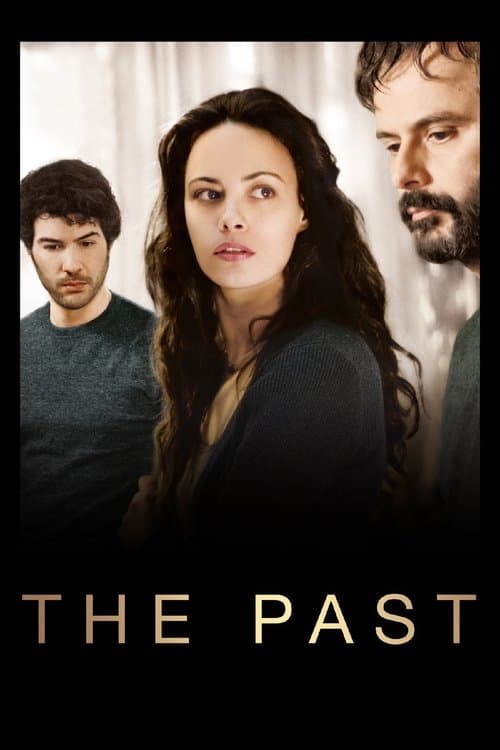 The Past (2013) poster