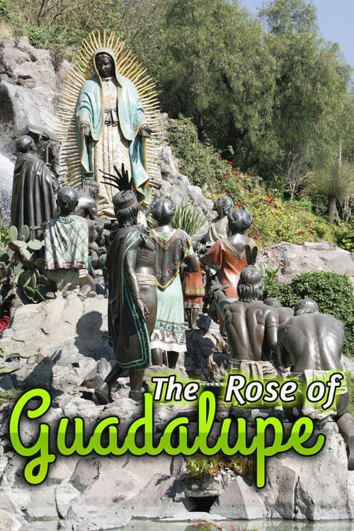 La rosa de Guadalupe (2008) poster