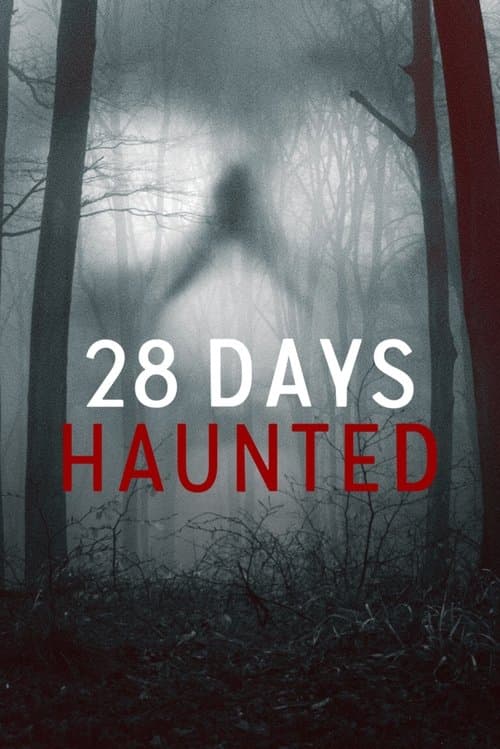 28 Days Haunted (2022) poster