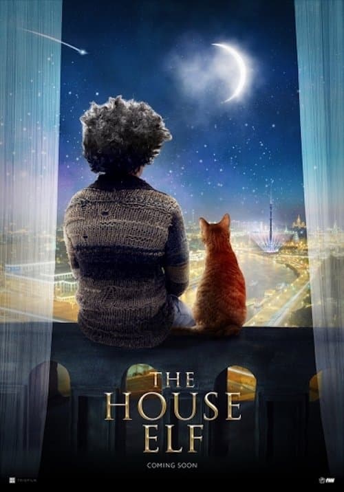 The House Elf (2019) poster