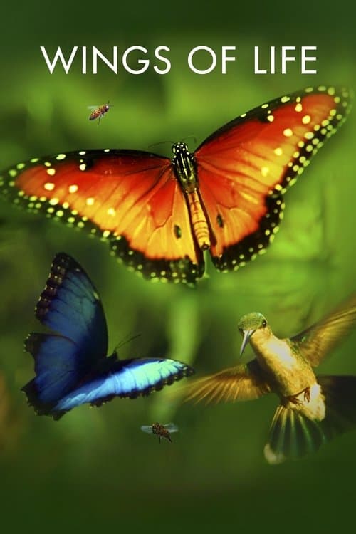 Wings of Life (2011) poster