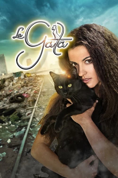 The Stray Cat (2014) poster