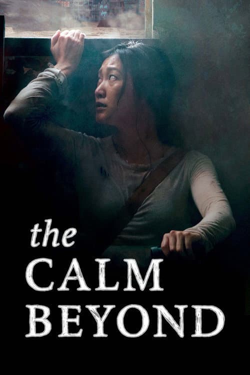 The Calm Beyond (2020) poster