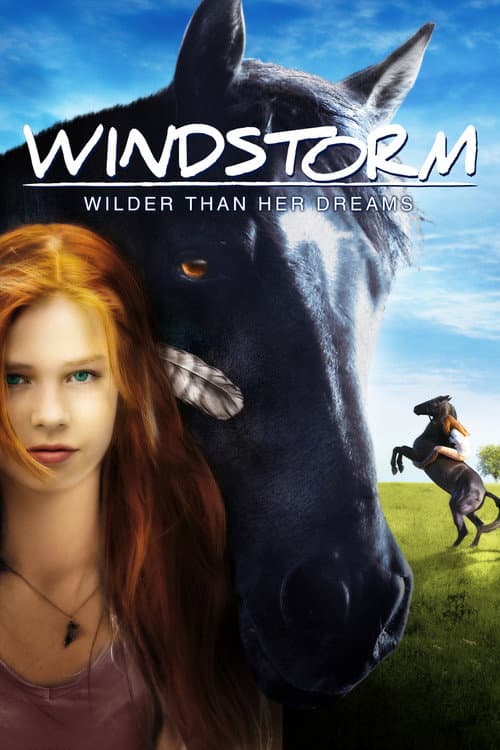 Windstorm (2013) poster