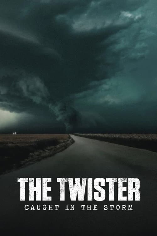 The Twister: Caught in the Storm (2025) poster