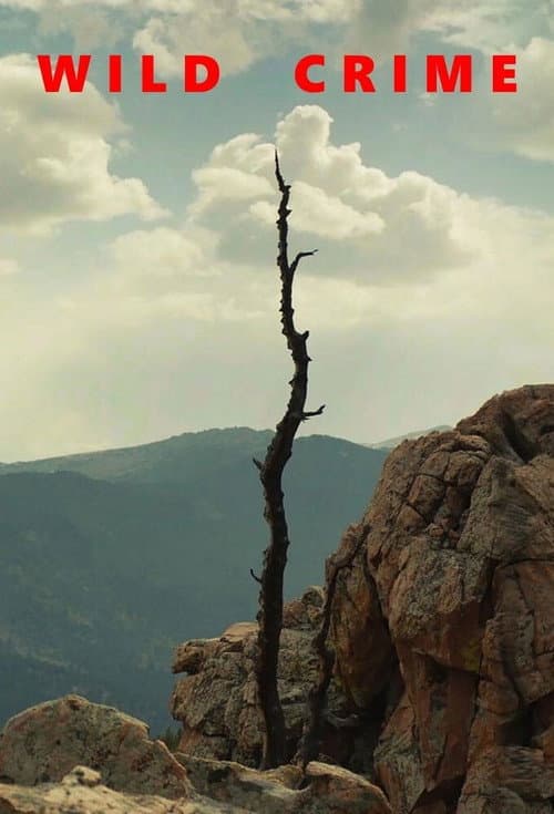 Wild Crime (2021) poster