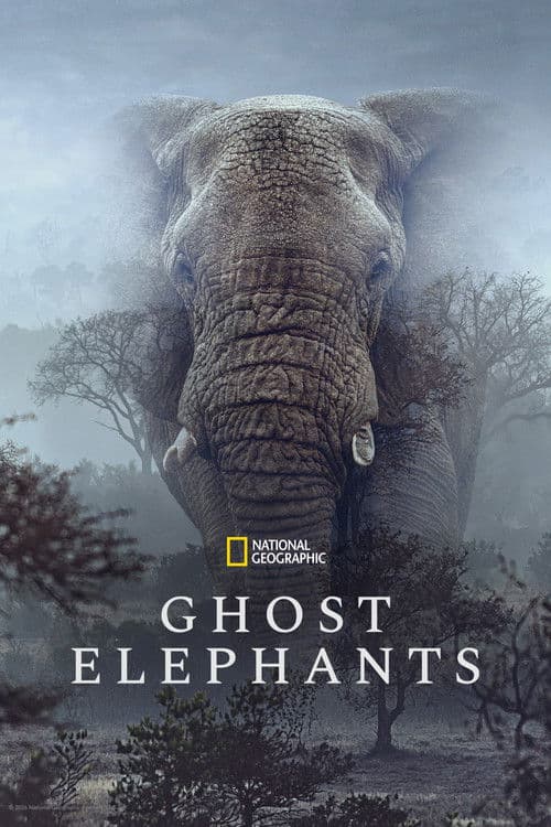 Ghost Elephants (2026) poster