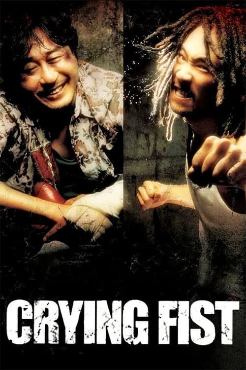 Crying Fist (2005) poster