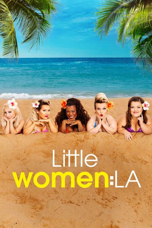 Little Women: LA (2014) poster