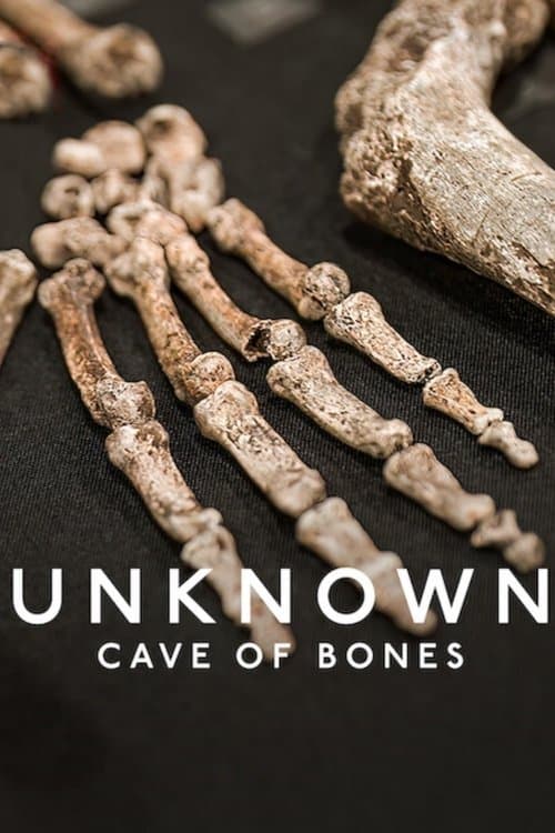 Unknown: Cave of Bones (2023) poster