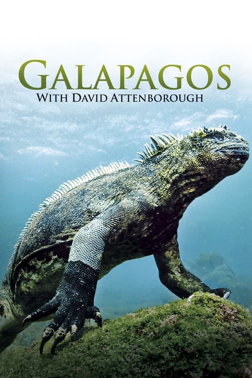 Galapagos 3D with David Attenborough (2013) poster