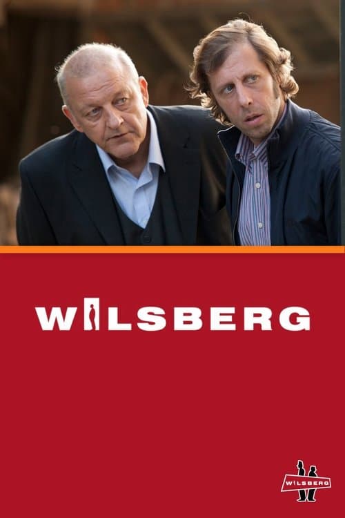 Wilsberg (1995) poster