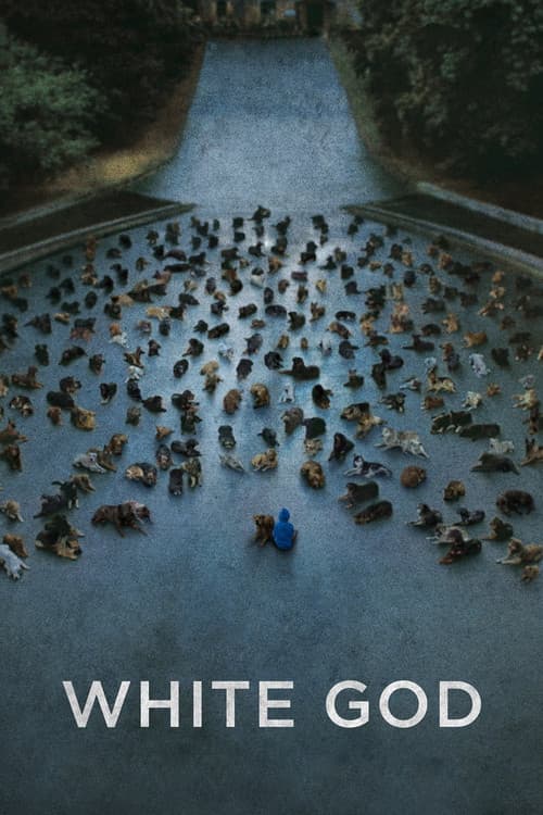White God (2014) poster