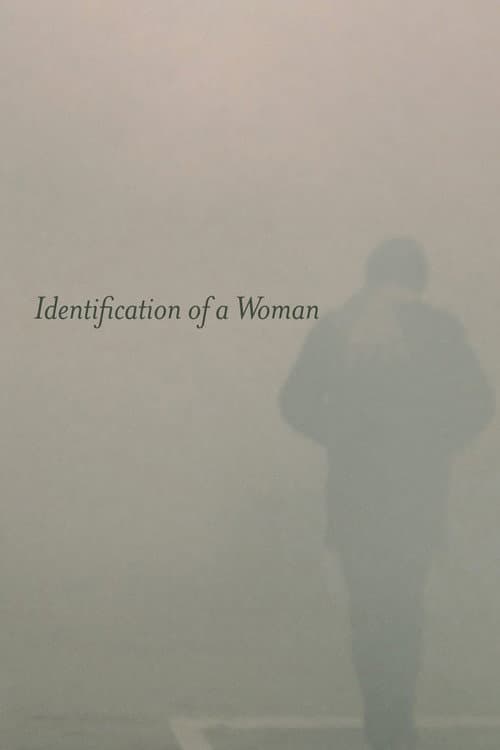 Identification of a Woman (1982) poster