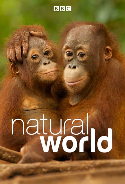 Natural World (1983) poster