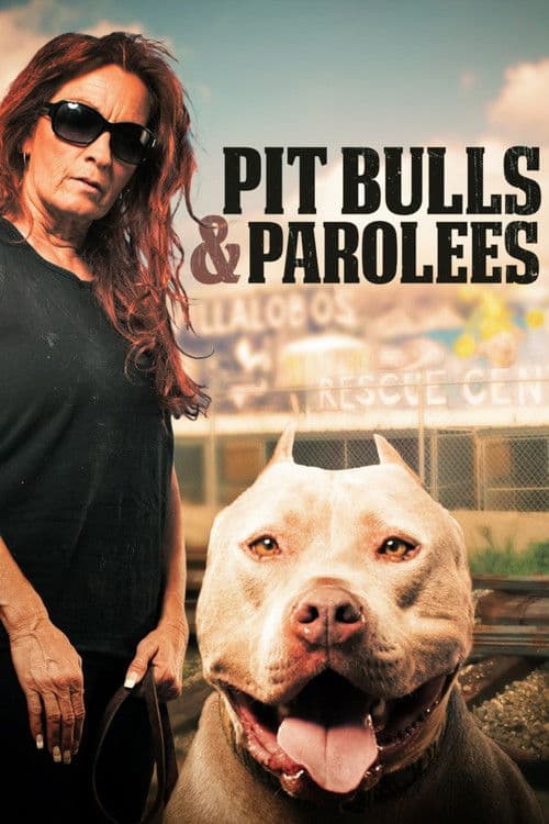 Pit Bulls and Parolees (2009) poster