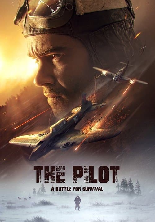 The Pilot: A Battle for Survival (2021) poster