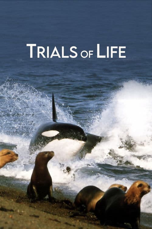 Trials of Life (1990) poster