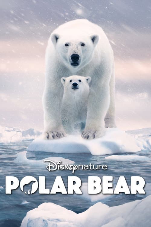 Polar Bear (2022) poster
