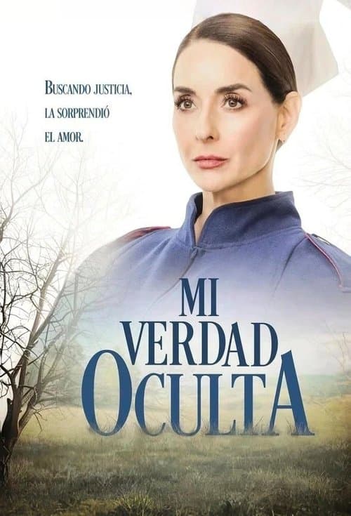 My hidden truth (2025) poster