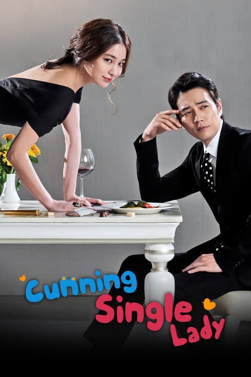 Cunning Single Lady (2014) poster