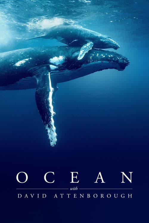 Ocean with David Attenborough (2025) poster