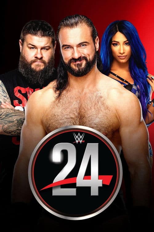 WWE 24 (2015) poster