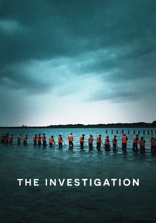 The Investigation (2020) poster