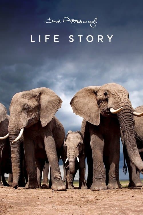 Life Story (2014) poster