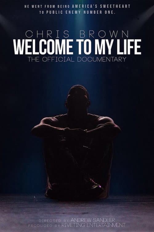 Chris Brown: Welcome to My Life (2017) poster