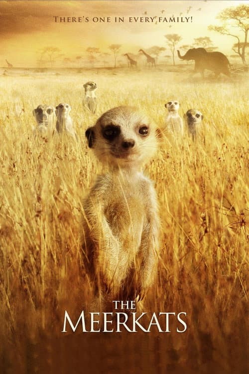 The Meerkats (2008) poster