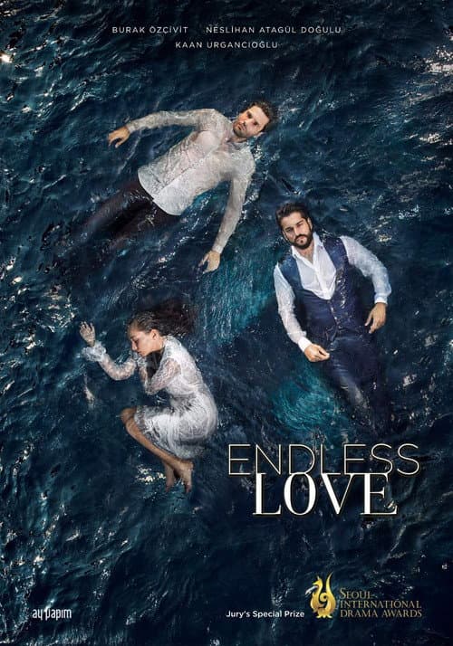Endless Love (2015) poster